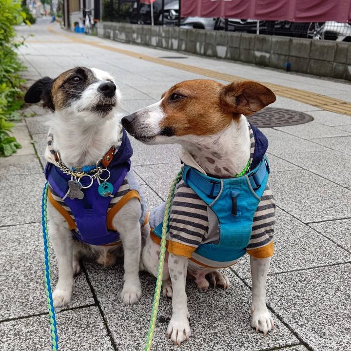 8022c5df 1691 4b4c a6f5 94a7a63aa34a 1625972629455