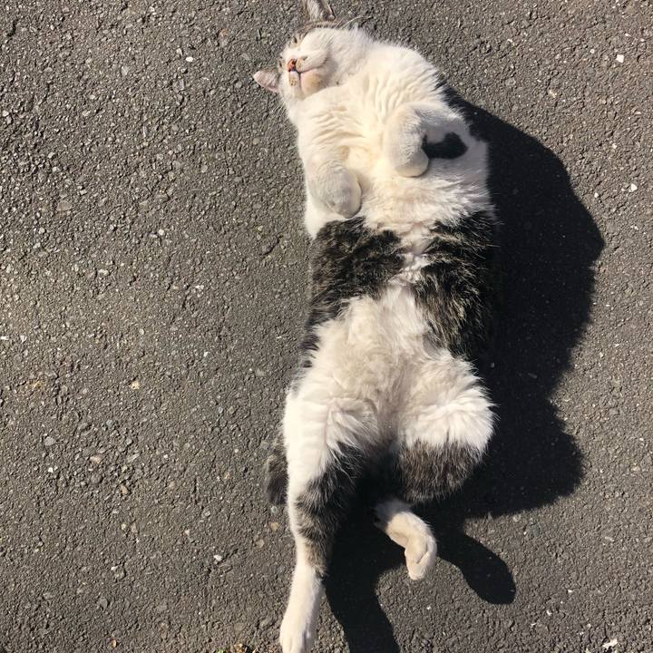 8022c787 5c31 4f7d a69a 329c285e51b5 1608180387222