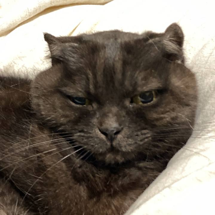 8022ca19 1fb1 4113 b552 d676eb4ea262 1642094660312