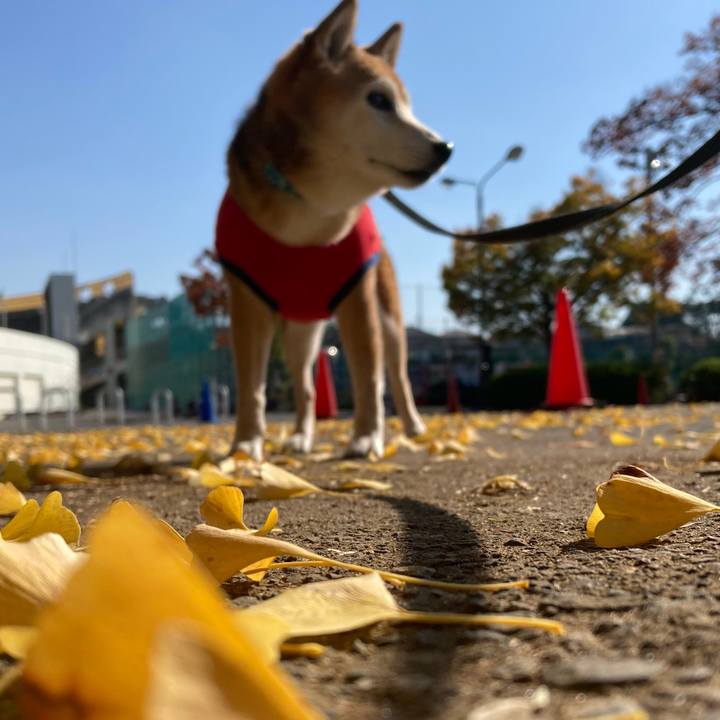 8023358c fc4e 4357 837c 8c8ed9b885af 1763093576394