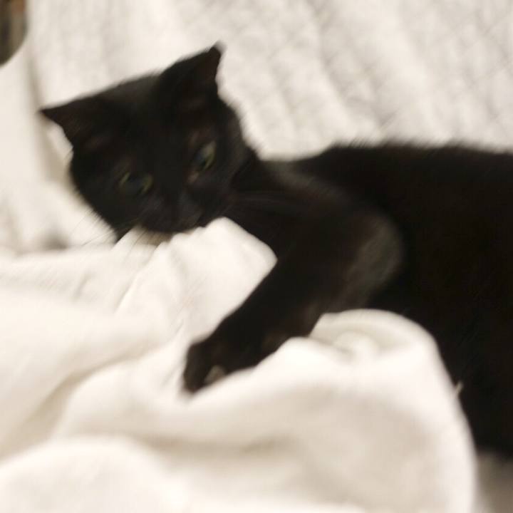 80237427 14e9 44b1 8c82 33657fc4ee1f 1557411605137