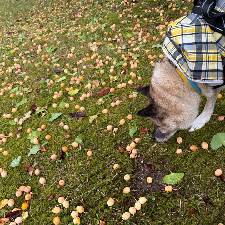 80239a40 a305 4166 a905 0a30b56269fa 1758629581680