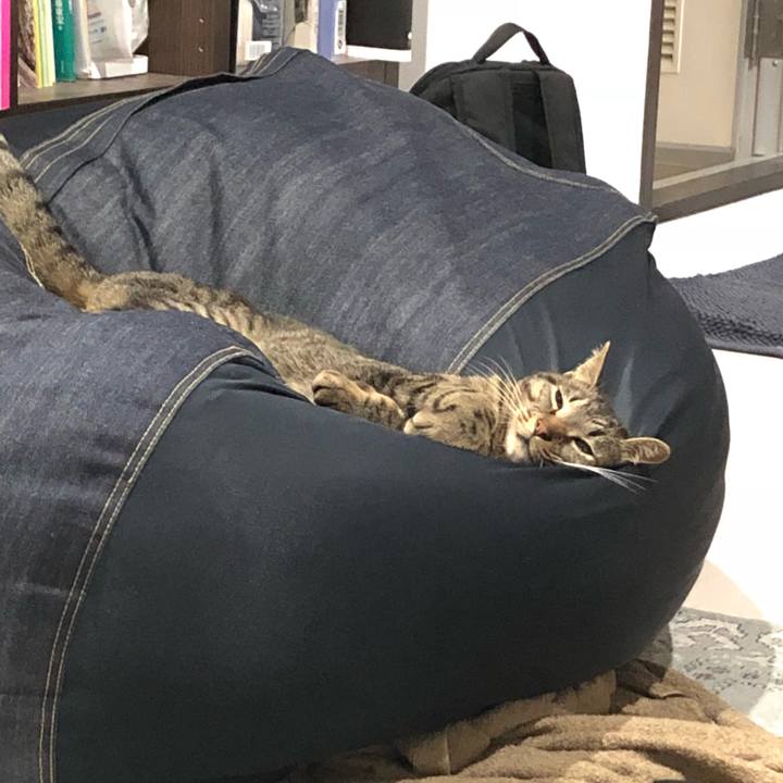 80239d08 426d 4d1b 9d69 64212e3ba61a 1528639593411