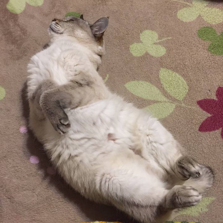 80242b1c 0098 4d06 9681 eb747988f0b4 1554290863242