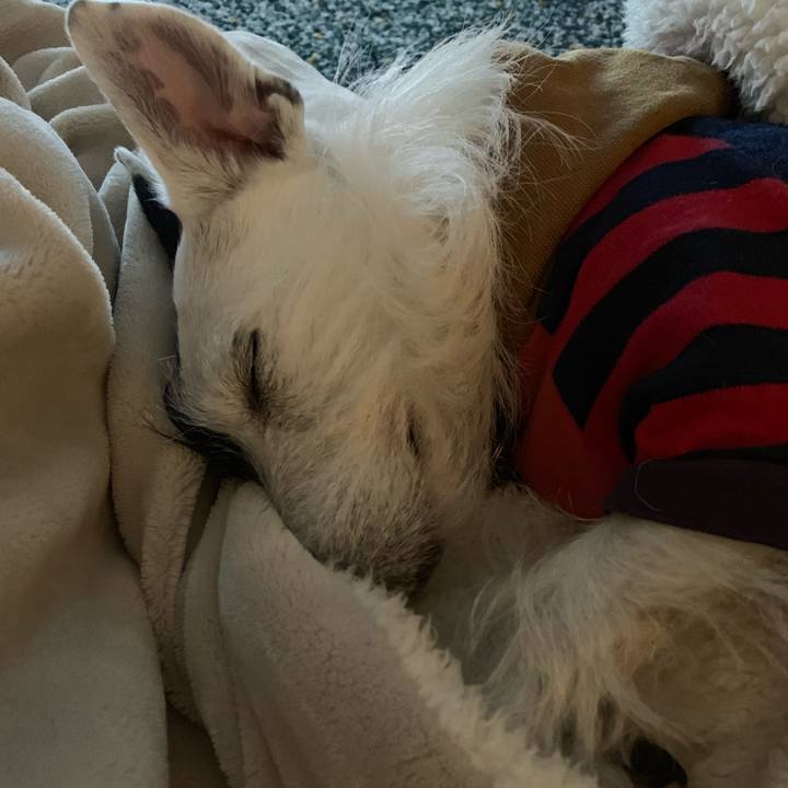 80244ed2 4925 4a2a aaf3 469a31bcc60c 1546610911069