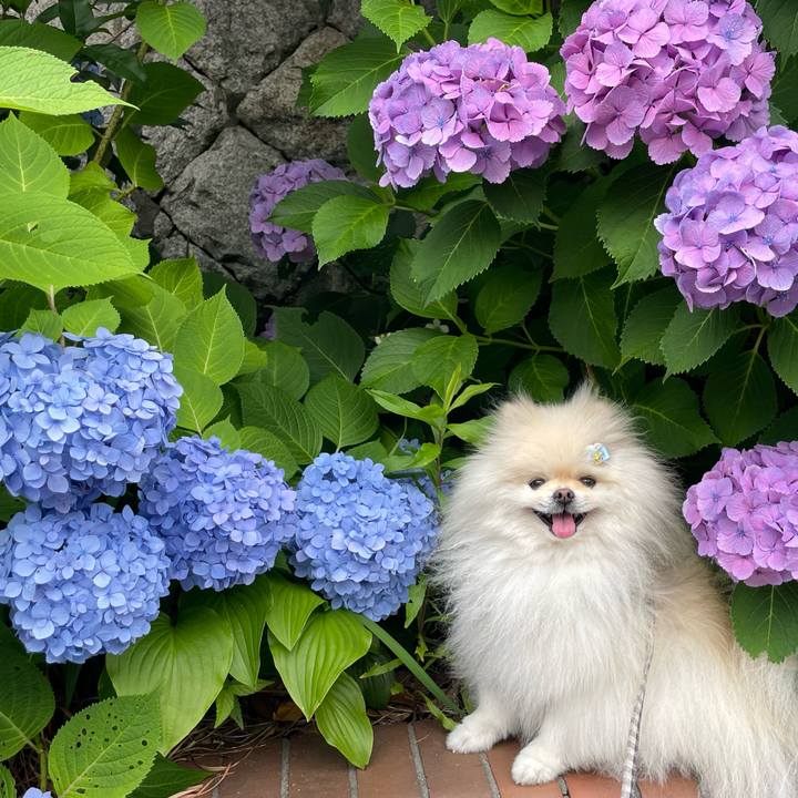 80249d32 34b8 416f 8b6d 326d8909b06f 1655425055227