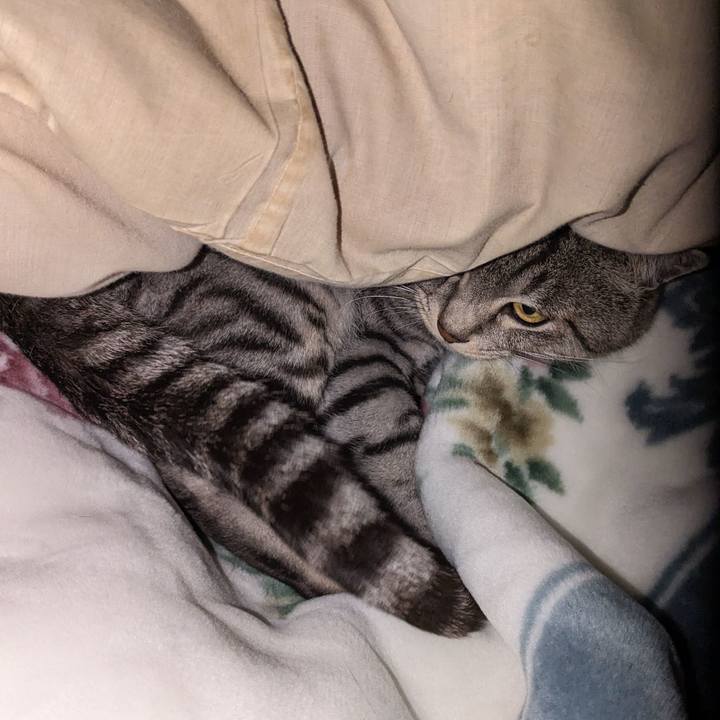 8024d5cf 46f4 45cf 8e2a 6ce394c8117a 1698622636752