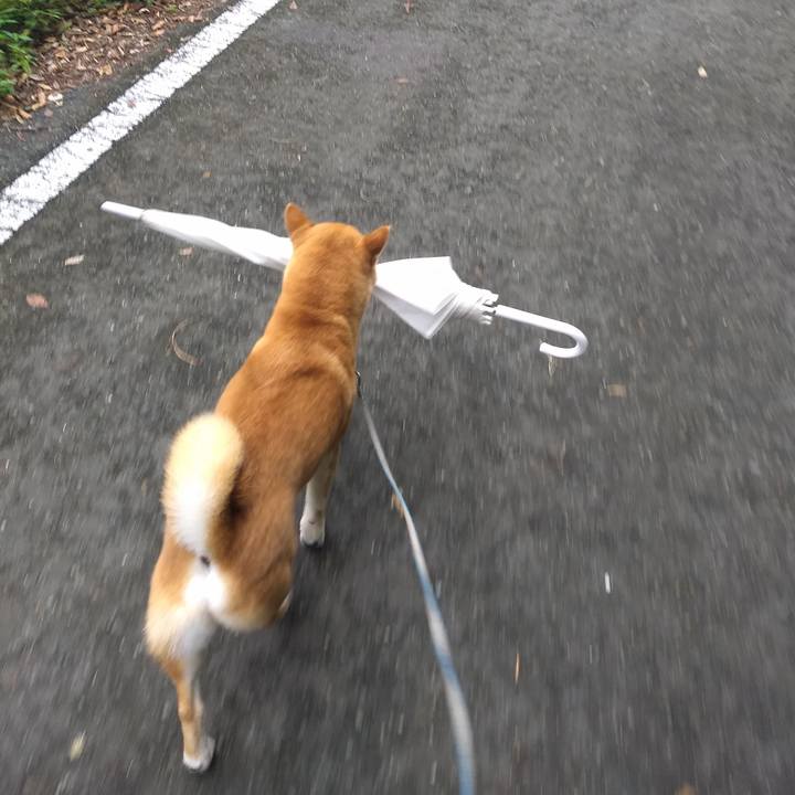 8024fcfa 2c4b 4b41 bc41 5cfbf30db188 1562151163240