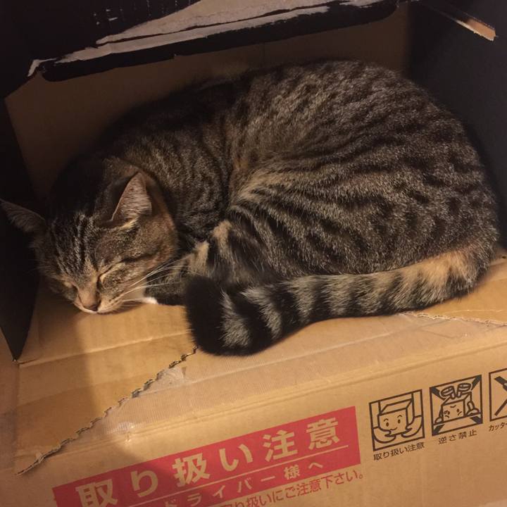 802514a4 f750 4bed b39b ee261c7881a8 1549725032562