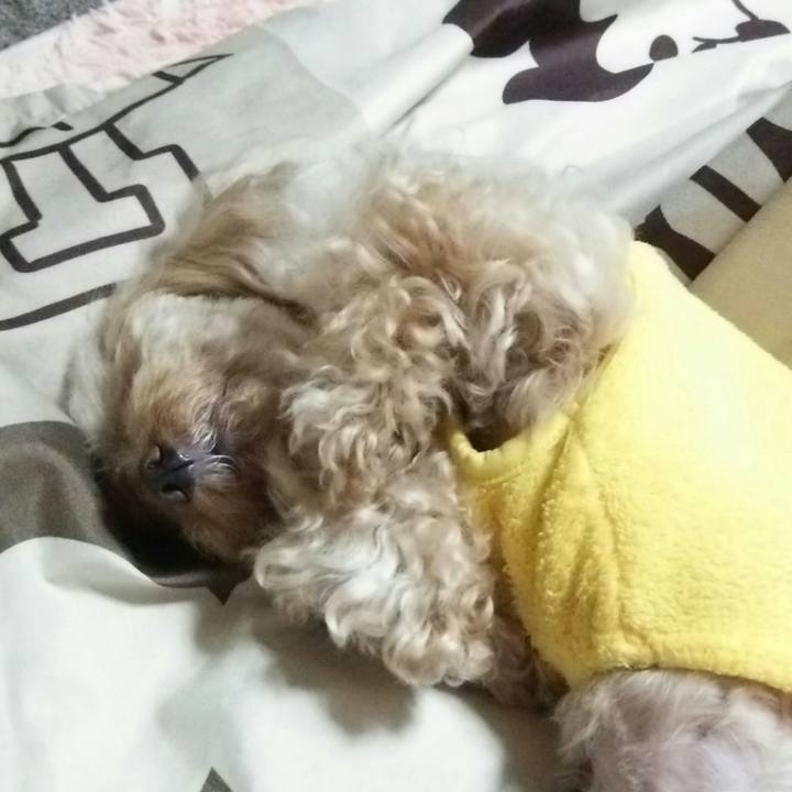 802515fd fd2a 493d 8bf4 d3dfc017082e 1543239120351