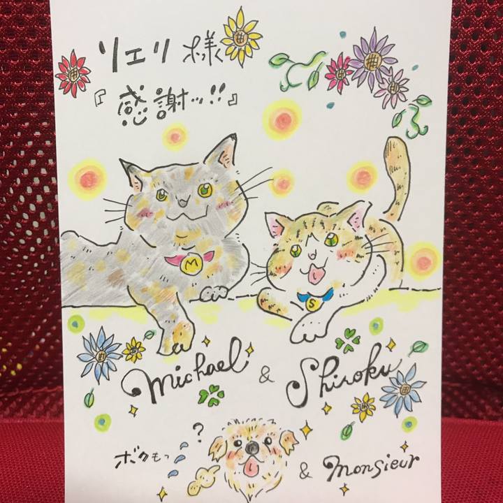 80254f3b abac 48dc a48d 08043ce316f3 1561658369131