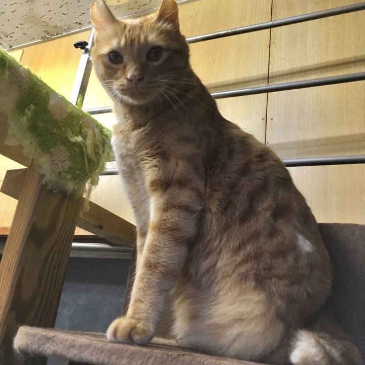 8025543a 5488 4f99 b289 a82be1ee441b 1508480805306