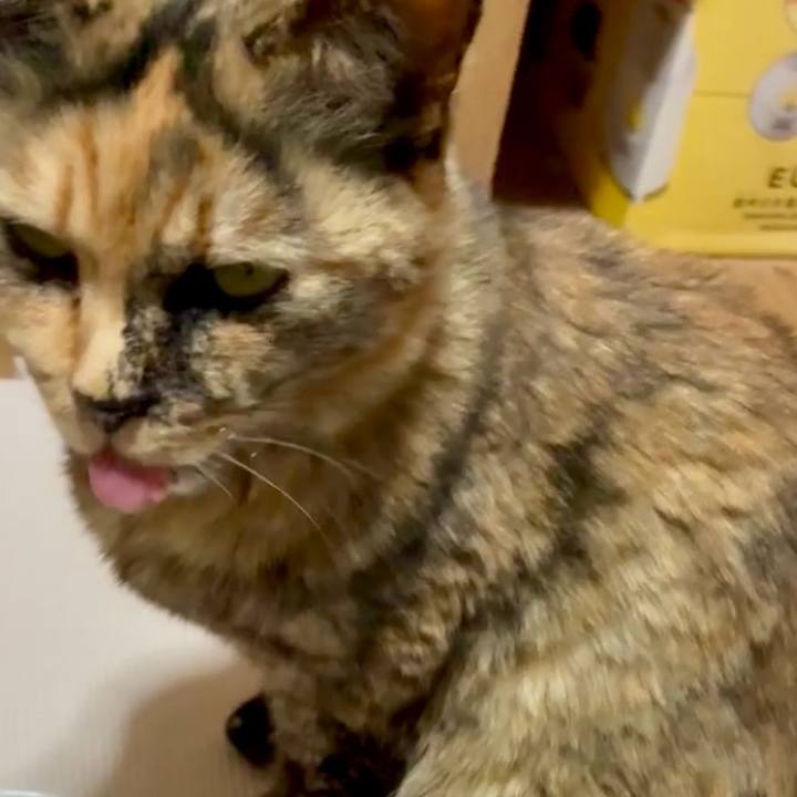 8025ccf5 1ee9 4f29 9347 e64fdbfdd402 1744711135689