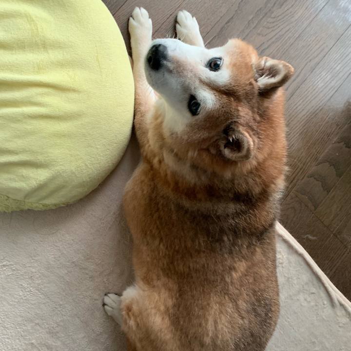 8025d528 3f51 4673 a140 6002fd0c67c3 1565490326055