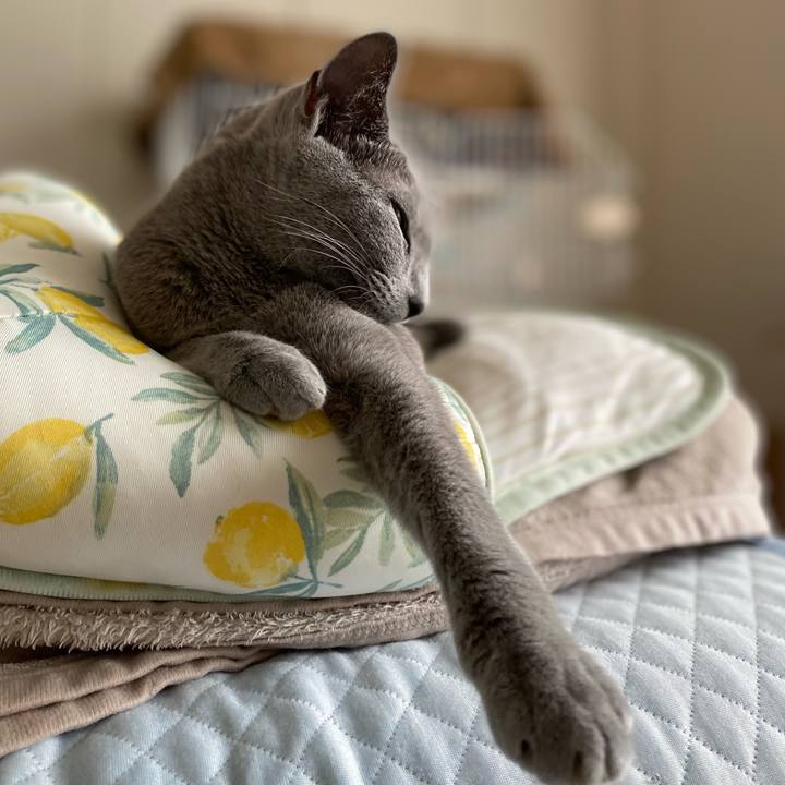 8025dbad 8bd3 4e1b 8757 81e861b07873 1660357469542