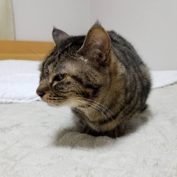 8026284b d6f9 4970 bdda 8d079b3f6c8f 1616125494215