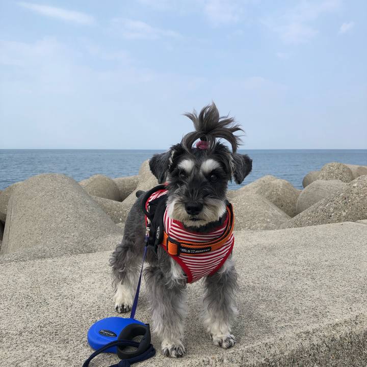 802652cd 684a 44fc 83b9 289834c89bb1 1698902010989