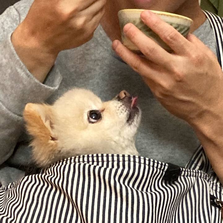 802665d0 edbb 4669 abd6 8329cda15beb 1680866737435