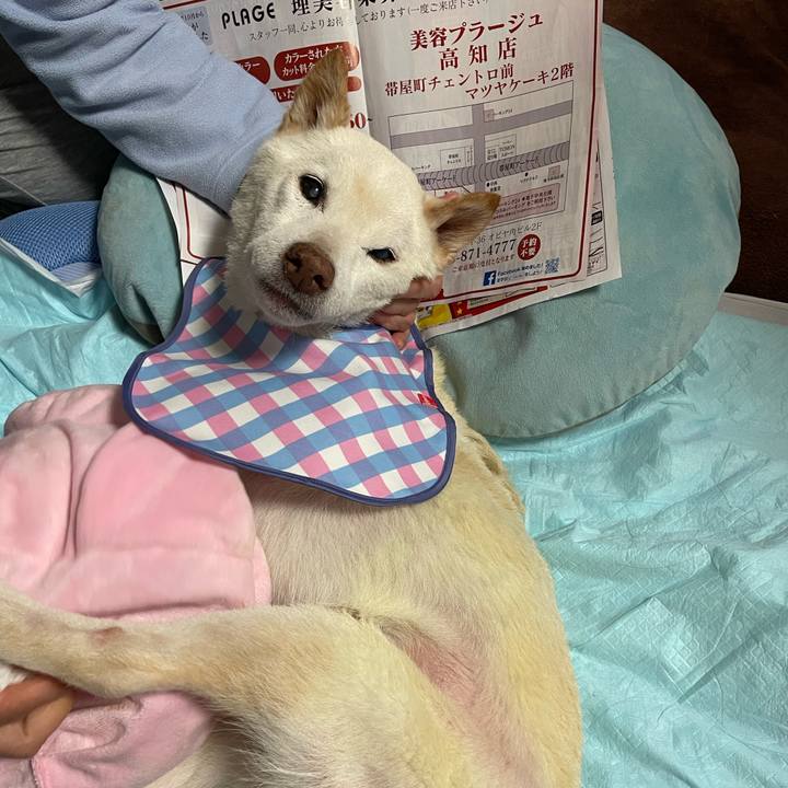 80271e5b 717e 44b1 b75b 85ab9cba5fe1 1671460602914