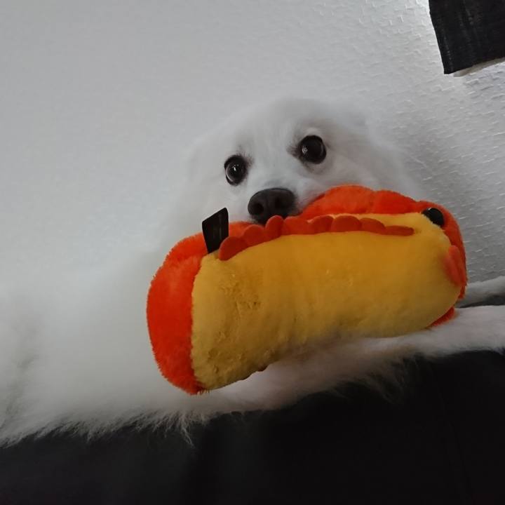 802755d9 cec9 4694 90a0 8492c669f189 1561516764935