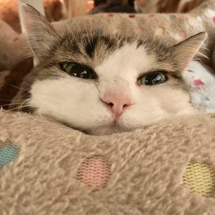 80275e73 5328 4cc0 85be b1cead87f0df 1546857504370