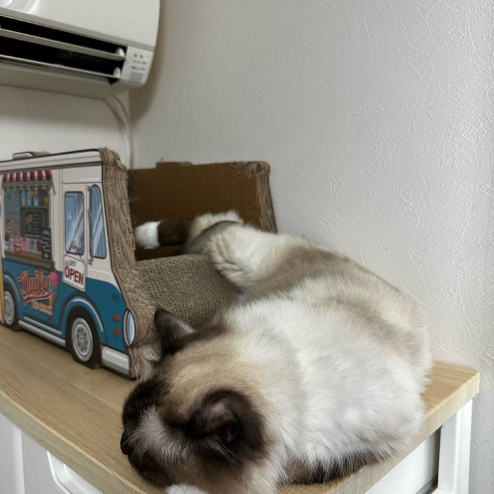 802763b7 0b3c 47f5 9f17 98a6b83fa4df 1694339885119