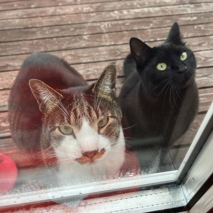 802779e7 4053 4d2d 8e53 34837870fbd3 1683759889346