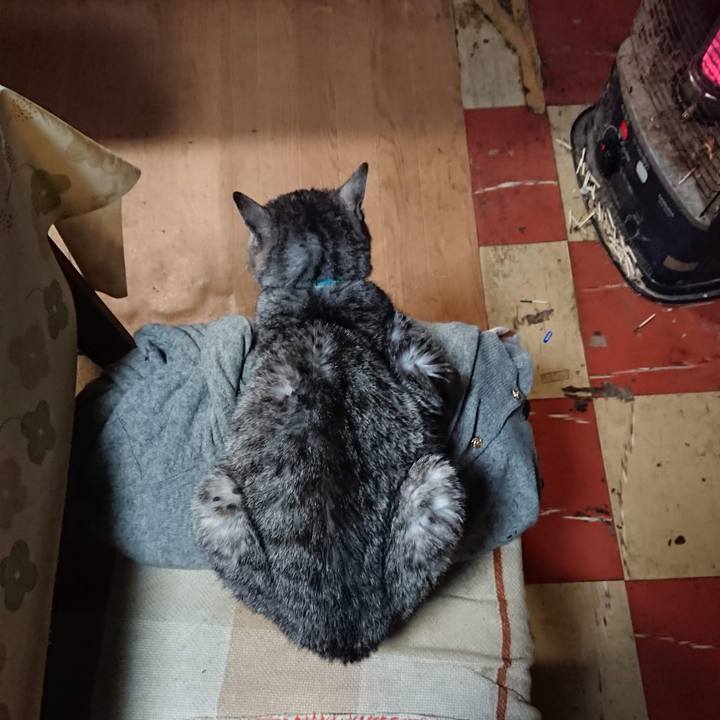 8027a26e 9894 40c1 86bc c45729aa3b40 1576403580209