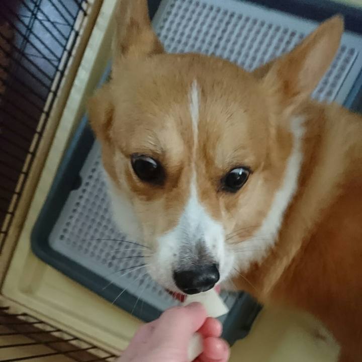 8027aad6 988f 42c3 88f7 e1ef3993bbe7 1534163785433