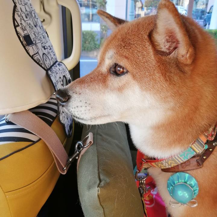 8027b2a1 b903 4891 b94f 35fe10bd090f 1667376131215