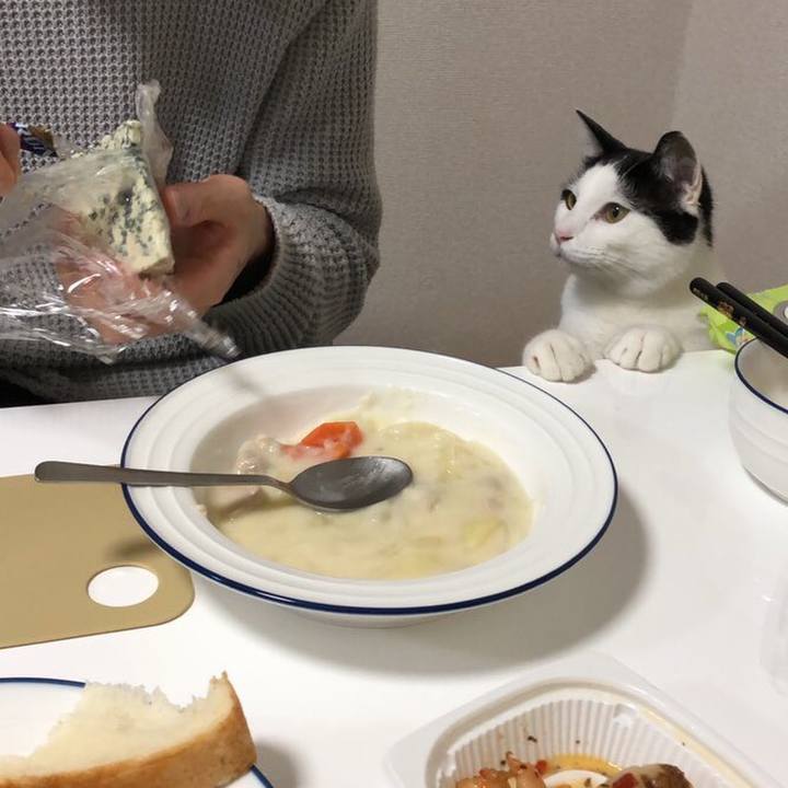 8027dcb1 a863 4be9 ad81 ce995bc20252 1576911447770