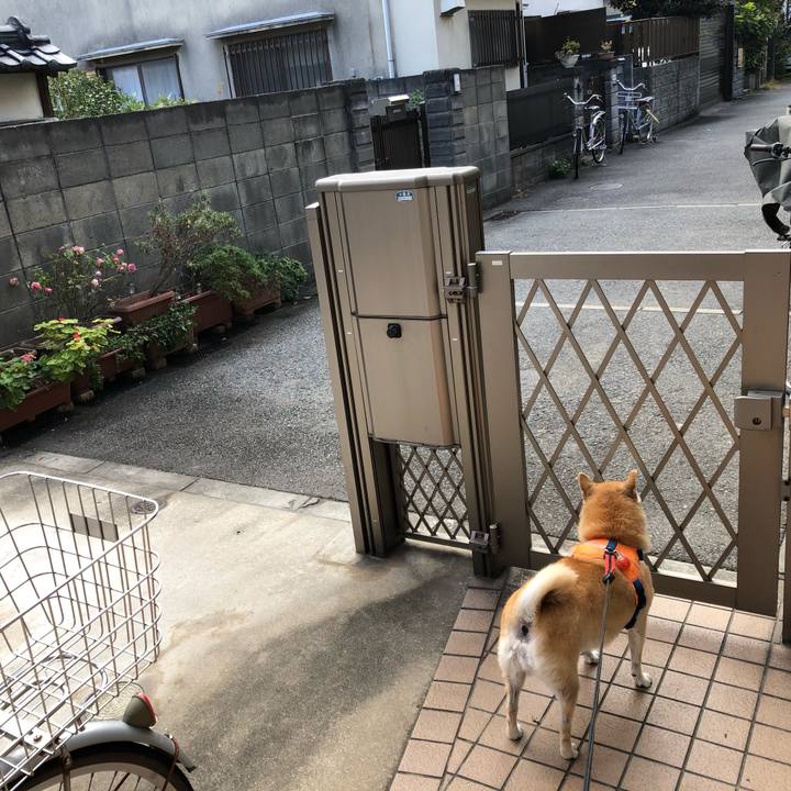 8027eaeb 4c22 4d32 b46e 7656b4bc00f9 1575806453252