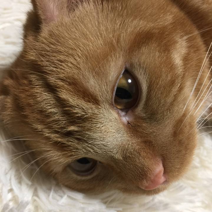 8028408f 1e50 422e 8fc5 15955b597571 1509234701489