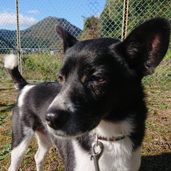 80284937 04a4 40b4 8d36 1985618f647e 1606627158656