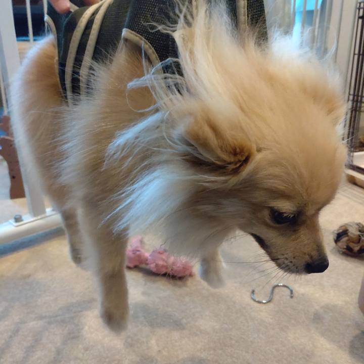 8028a9fb bc5f 4f17 97ba 565171837293 1750658407898