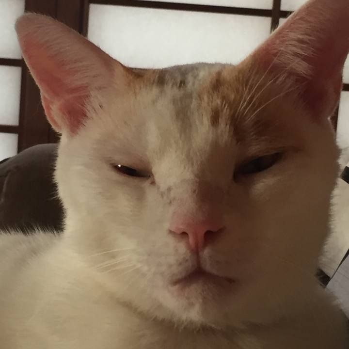 8028b284 fae0 4b49 af58 00d72f743439 1539689067938