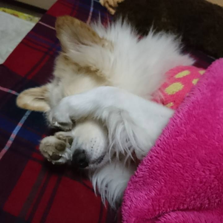 8028b742 0461 4414 9ba5 d96a3318916b 1512939440019