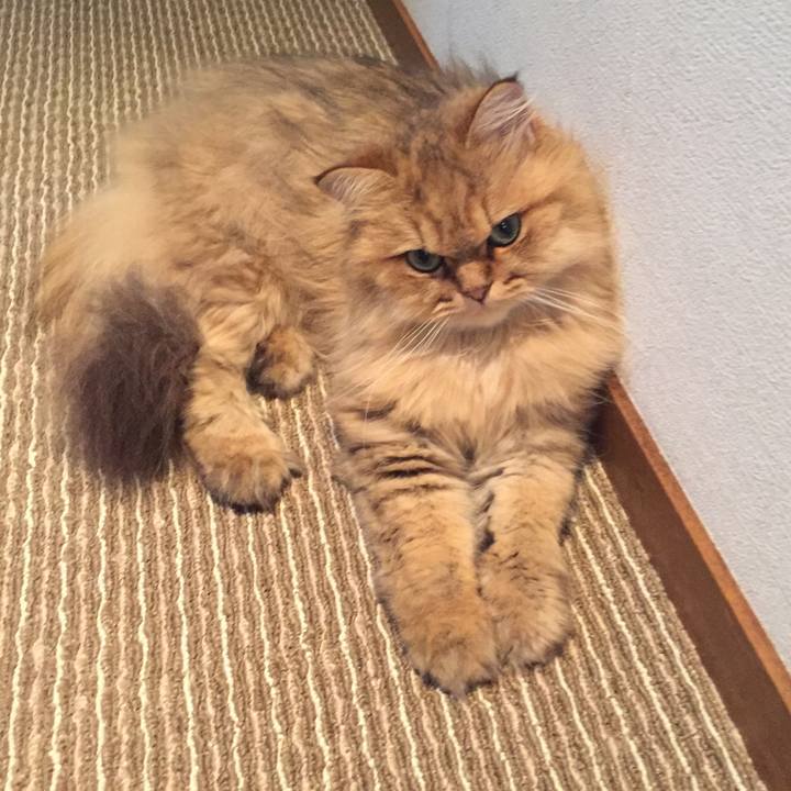 8028b78d b421 4121 a499 2107d5b476af 1531734392701