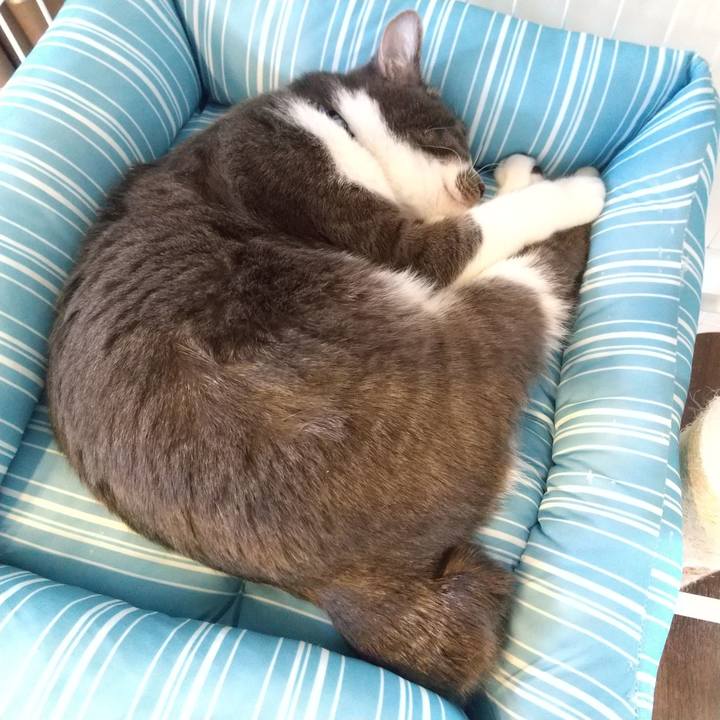 8028c2be e960 4bda 8855 bc8b6731dd4b 1610850003876