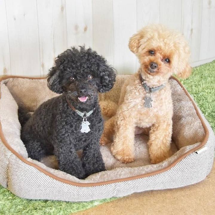 8028dd22 11da 45a6 bc01 069edcf915c7 1598022320864