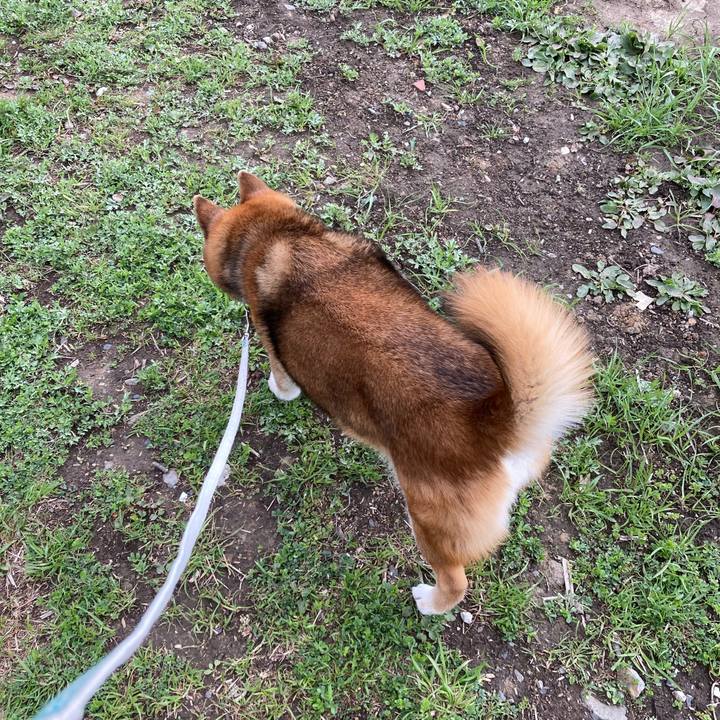 8028f99e e7d1 46b3 9863 1832415b49ac 1743381889821