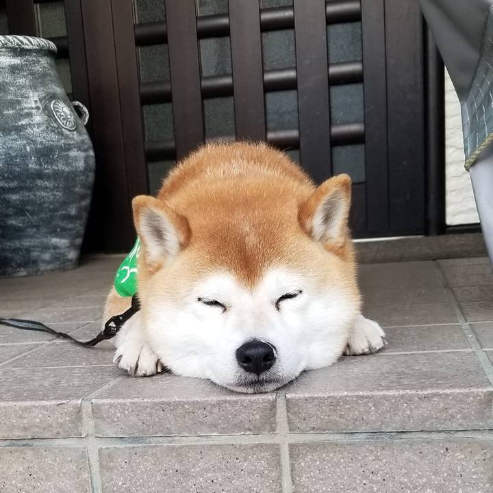 80292e66 262d 4caa b003 4713f7526de1 1584779690496