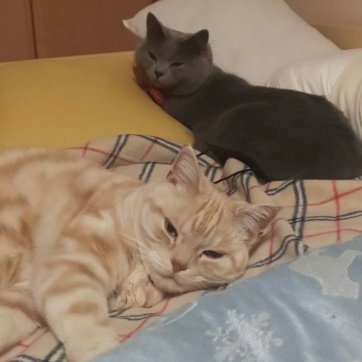 802938da 917e 4b13 bfdc 590701245da0 1545875155723