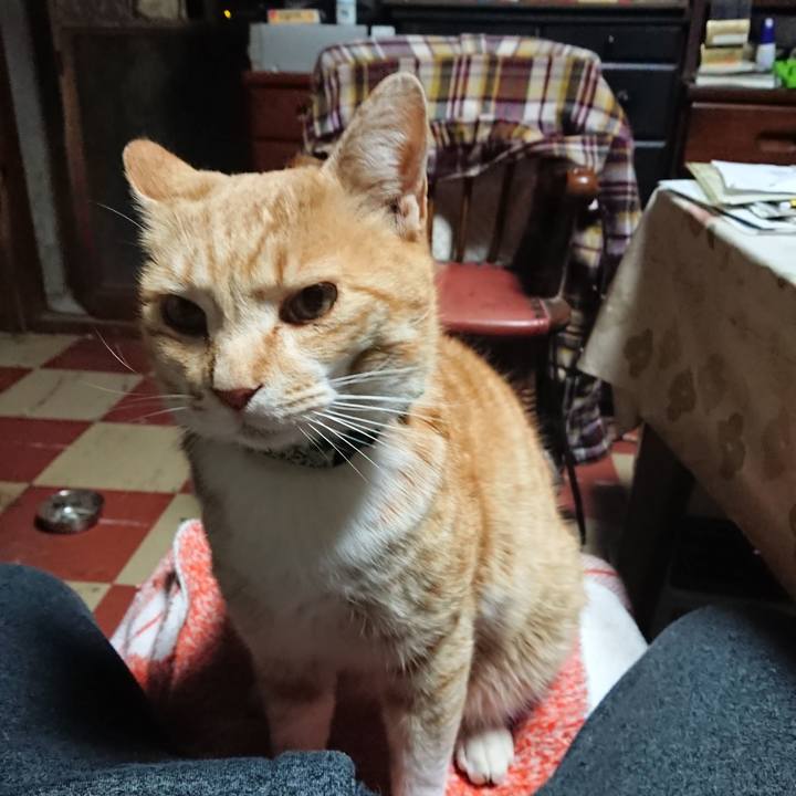 80298fa2 a026 4c56 bcc9 f3ee9be2a1e4 1586288874874