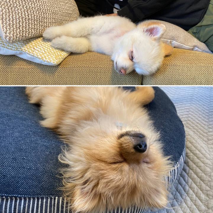 8029c791 af1d 4a0c 968e 4b92a1c10360 1643430227507