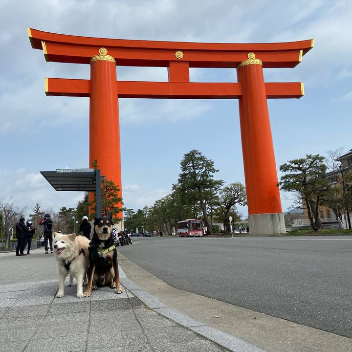 8029d83b ad5c 44f1 b503 94901d236e34 1712760768656