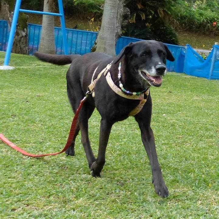 802a2c80 f520 4753 8607 16dff217f315 1555596694630