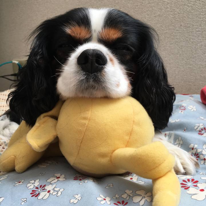 802a30ee ca07 4638 ac2e f4d244399600 1515210126216