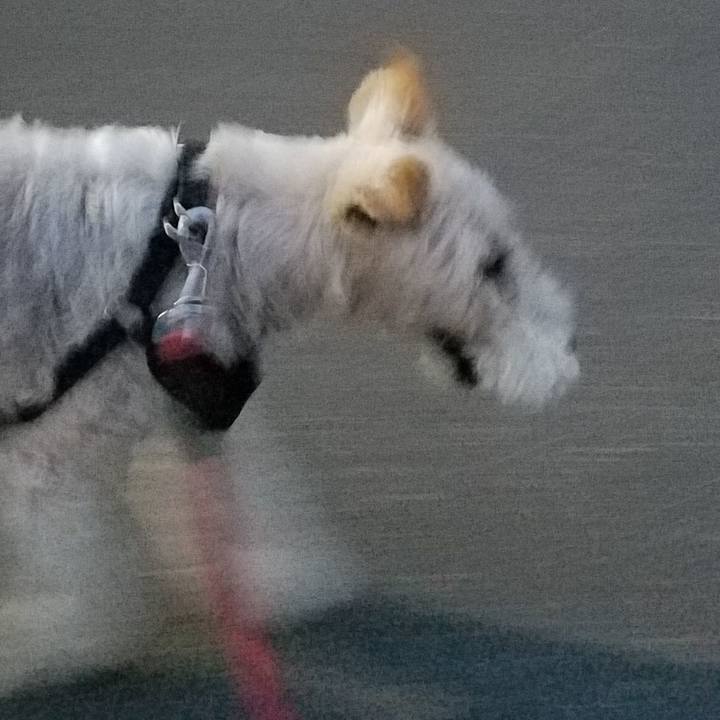 802a425b d136 46e5 beb6 ee6c2b66ef23 1592490724633