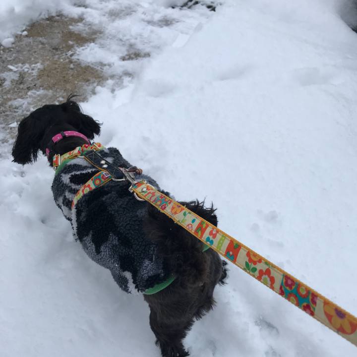 802a7d7a 8fd1 45df aa9d 72c33174757e 1517577818057